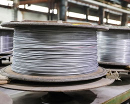 印度不锈钢丝制造商